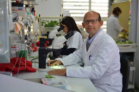 Pablo Bielza, investigador principal del proyecto que ha conseguido mayor financiación, en su laboratorio.